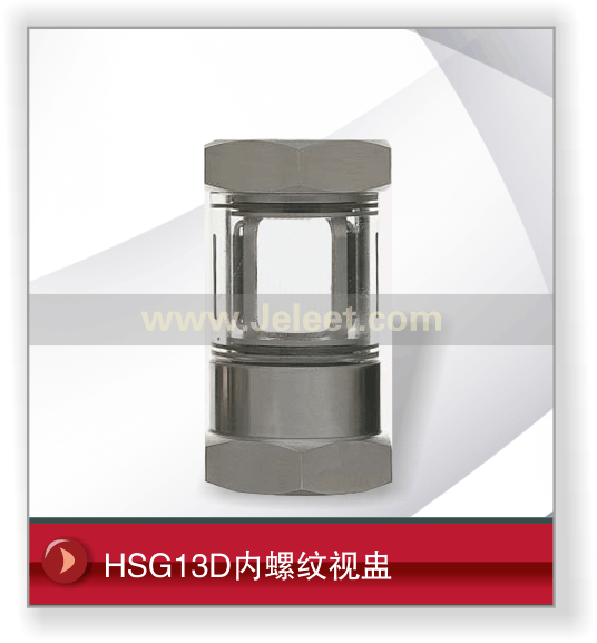 HSG13D