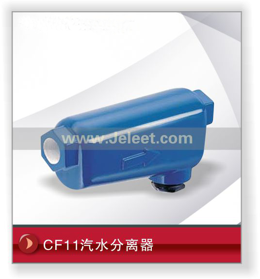 CF11ˮ