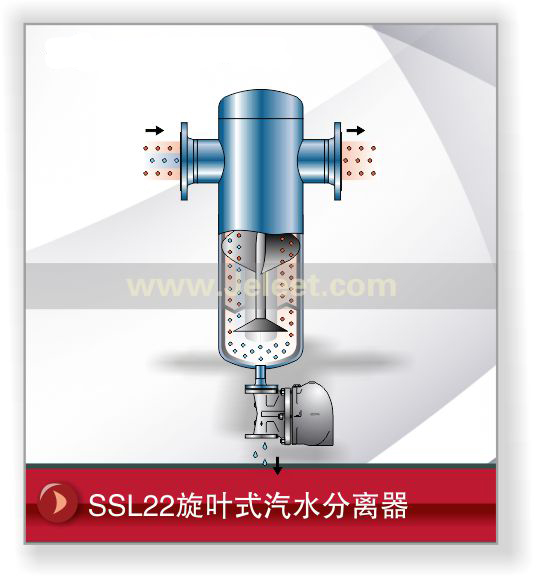 SSL22Ҷʽˮ