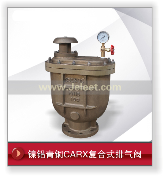 ͭCARXʽ