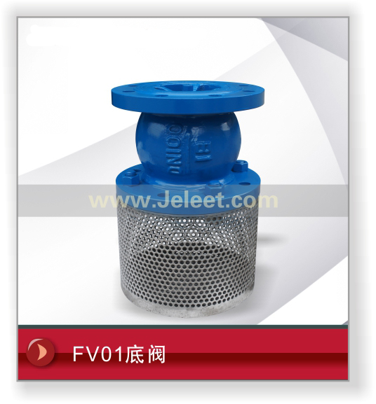 FV01׷